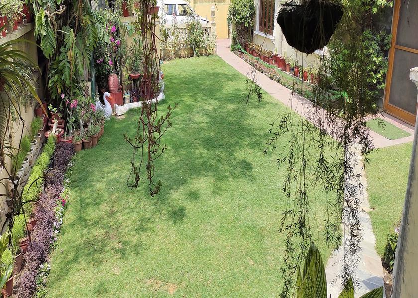 Rajasthan Jaipur Outdoors