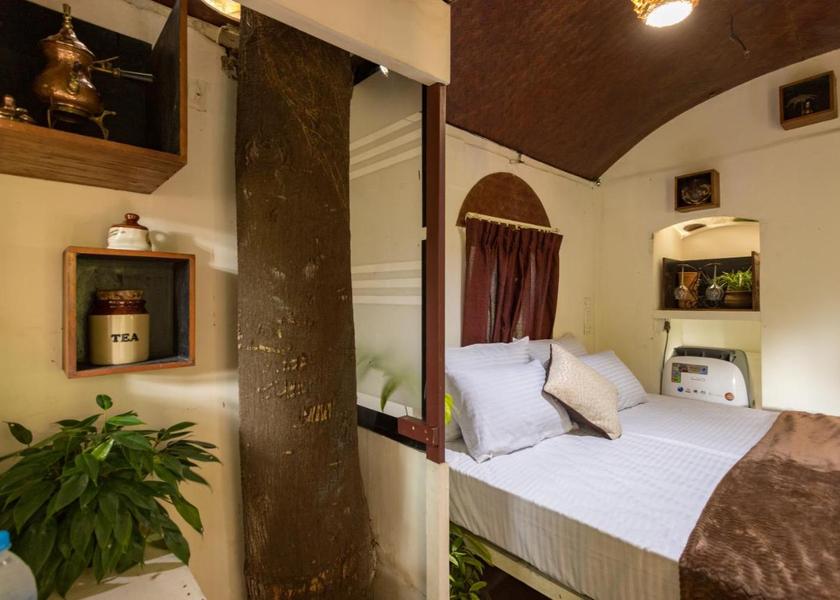 Kerala Thattekad AC Tree House