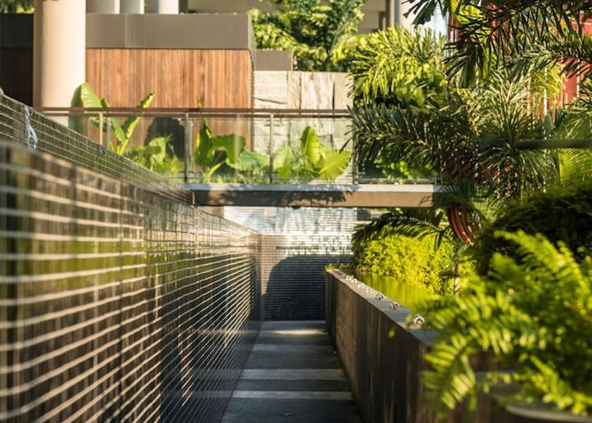  Singapore Garden