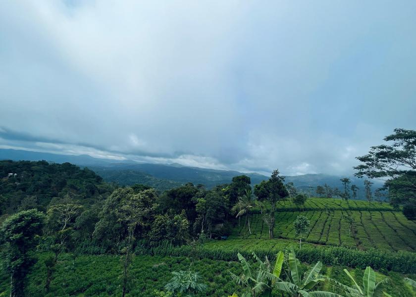 Kerala Idukki Balcony/terrace